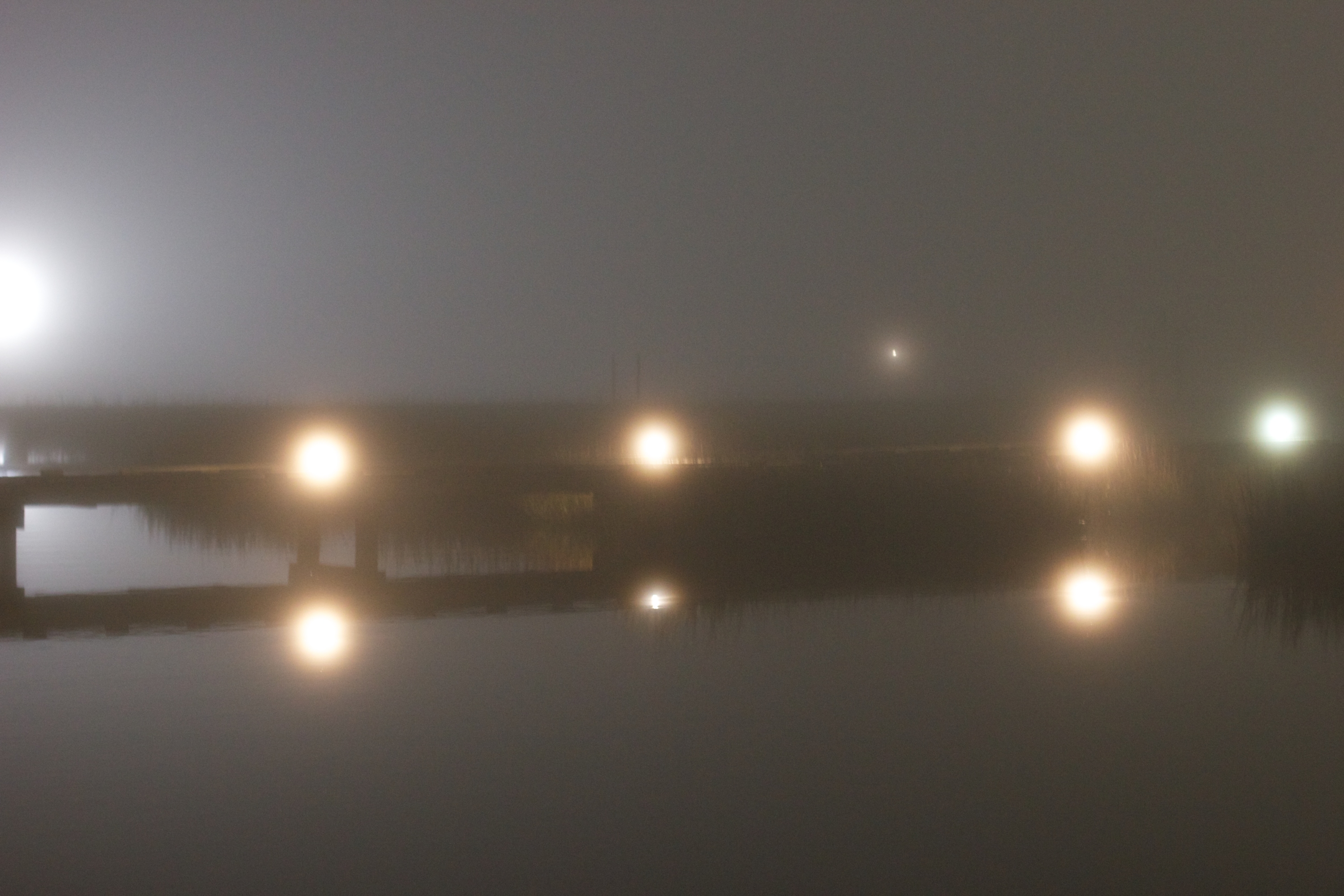 Foggy dock (1)