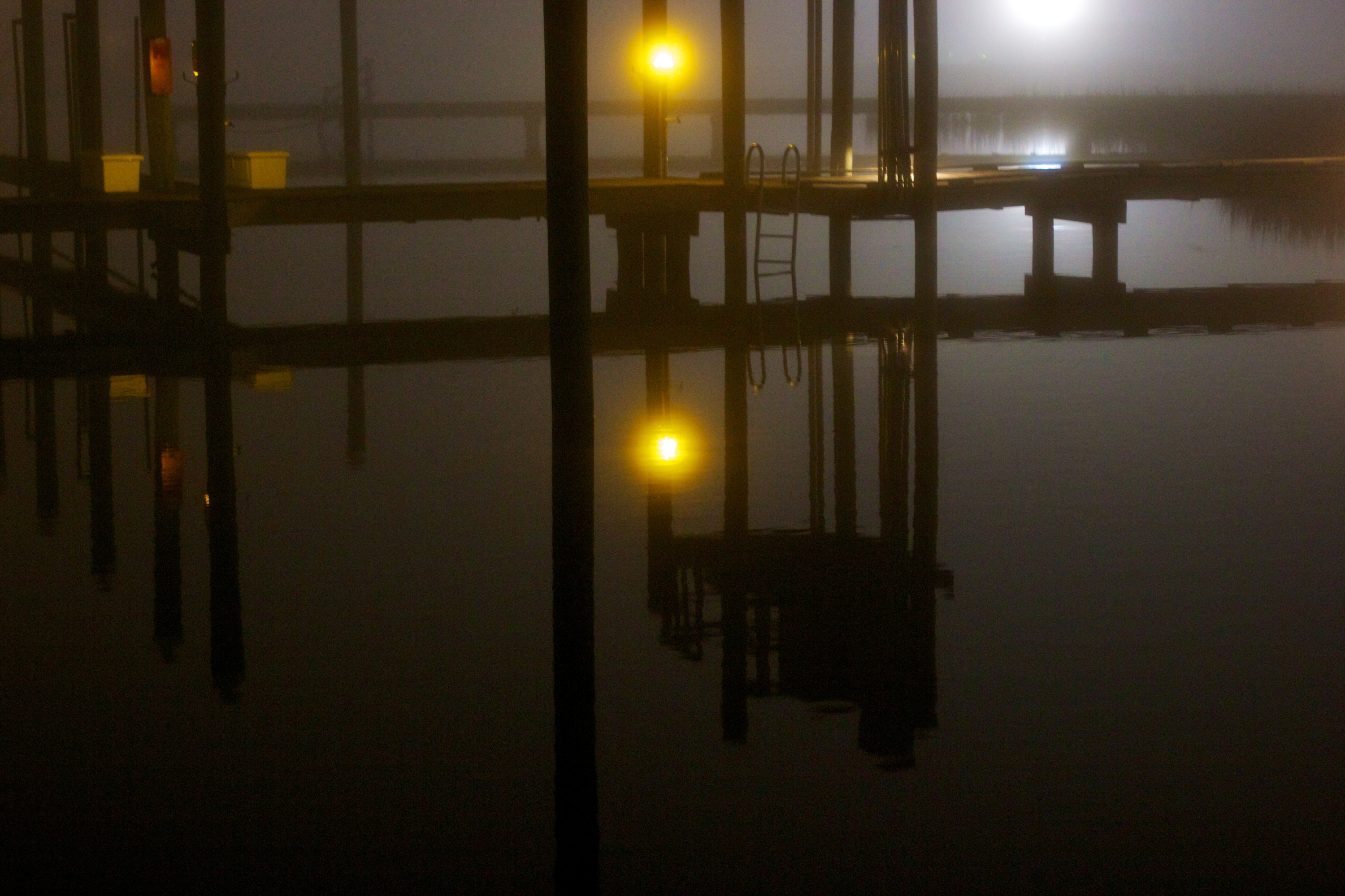 Foggy dock (2)