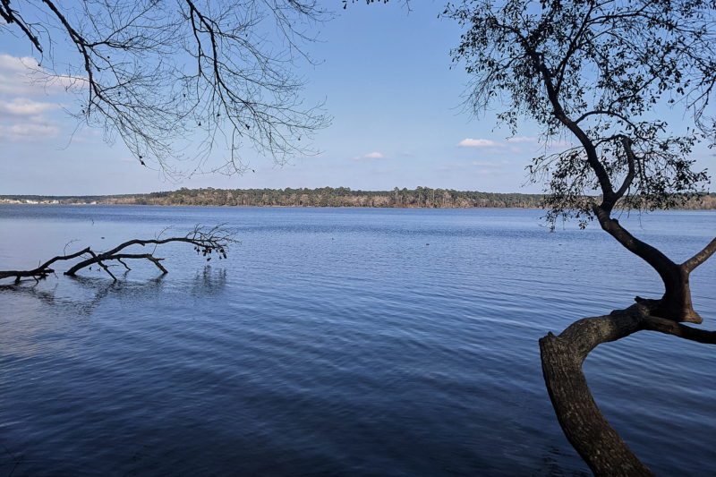 the only real view while on the lsht: lake conroe at mile 16.5